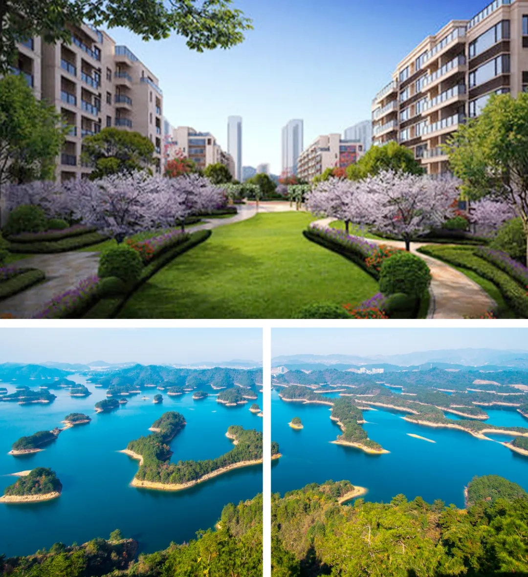 千岛湖小区楼盘景