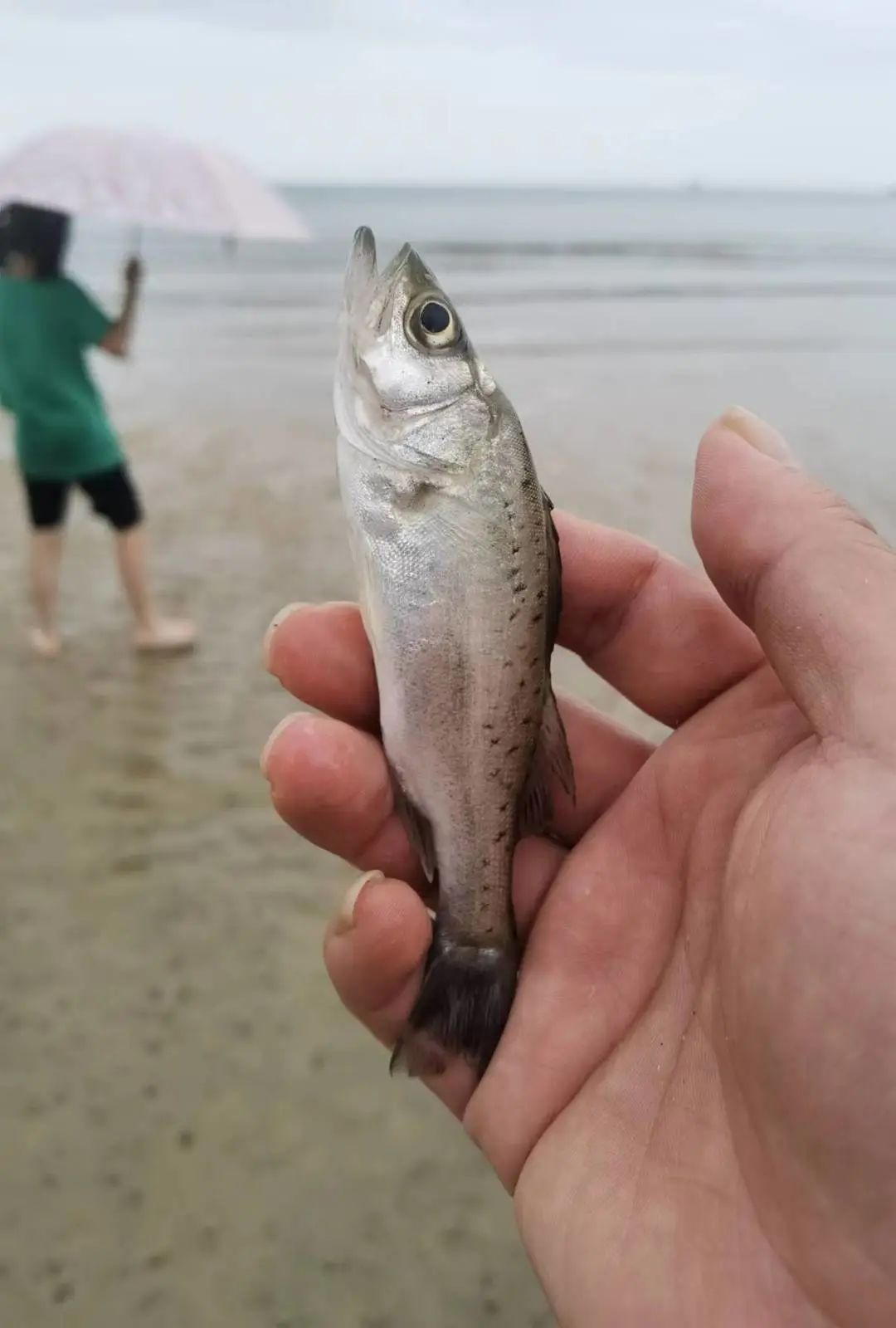 每一次来看海，都会有一种拾得的喜悦，从心底溢出。