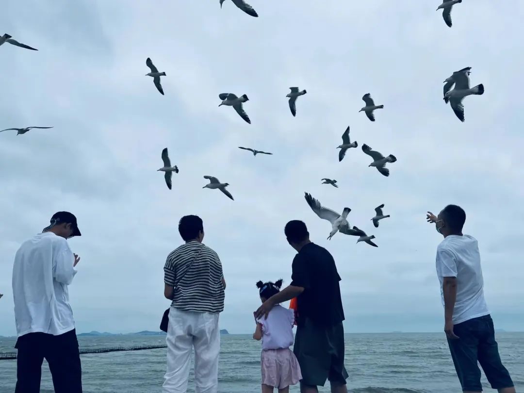 人约山海间，翩然见天地，抵达目的地的铭品家人们，第一时间去海边漫步，感受傍晚的温柔海风。